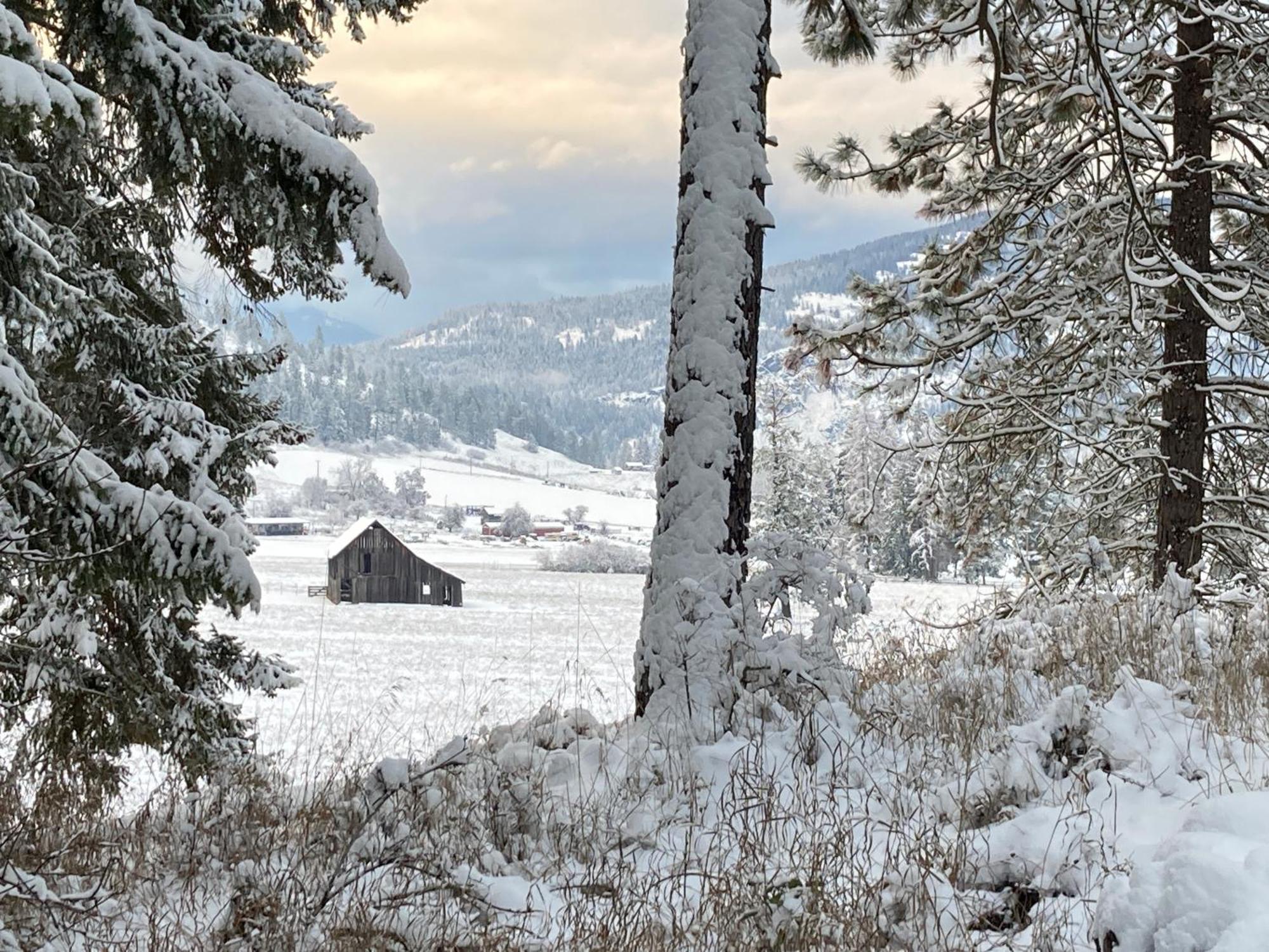 Affittacamere Hideaway Ranch Bonners Ferry Camera foto