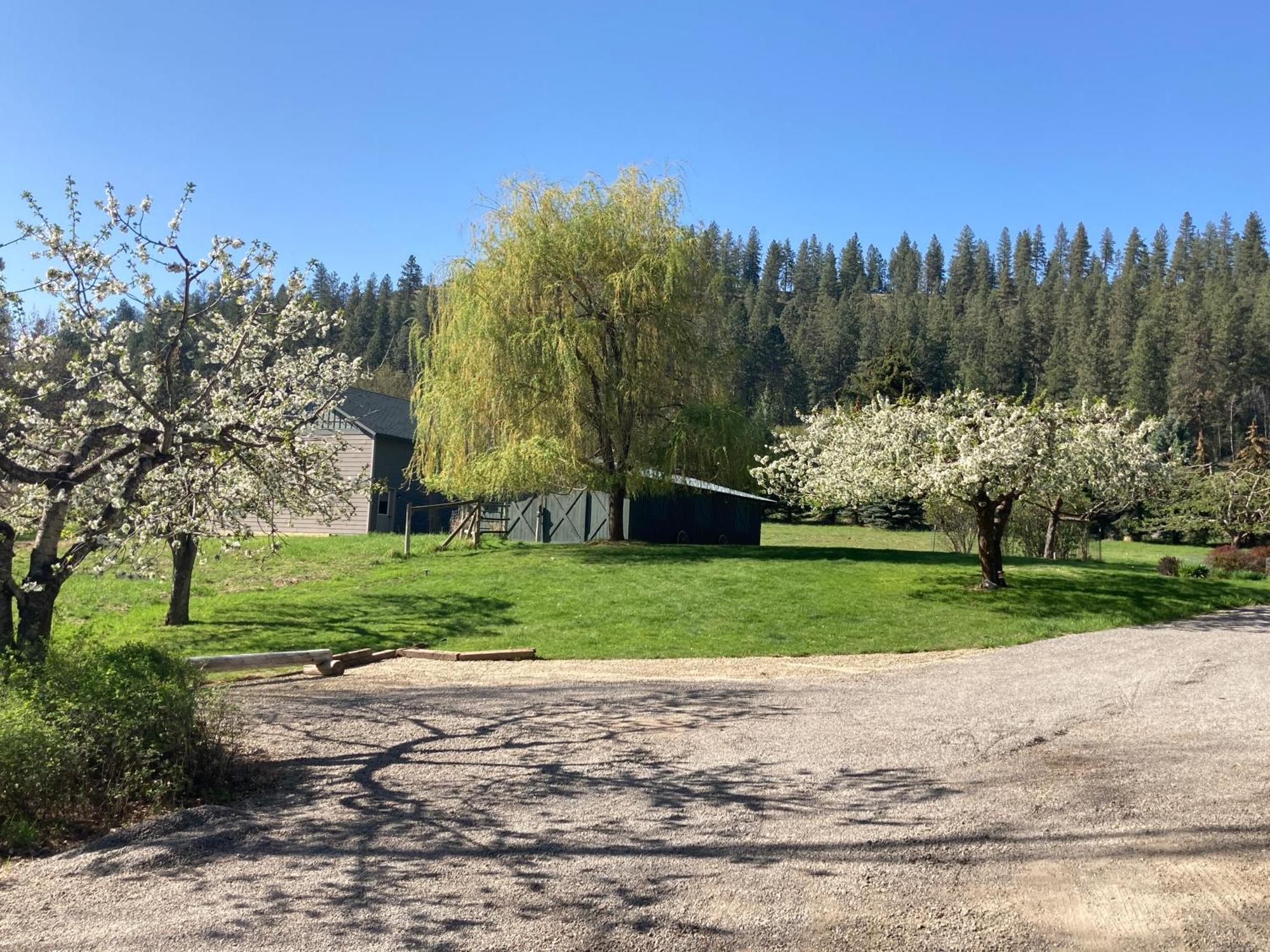 Affittacamere Hideaway Ranch Bonners Ferry Camera foto